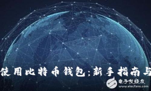 如何正确使用比特币钱包：新手指南与实用技巧