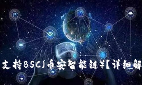 小狐钱包是否支持BSC（币安智能链）？详细解析与使用指南