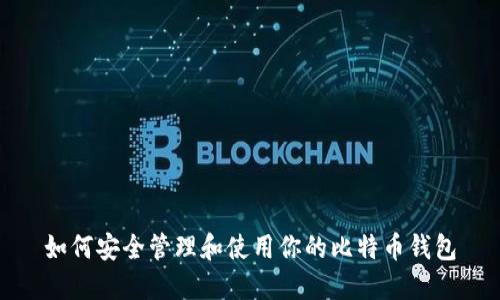 如何安全管理和使用你的比特币钱包