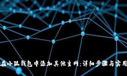如何在小狐钱包中添加其他主网：详细步骤与实用指南
