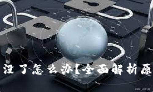 小狐钱包的币没了怎么办？全面解析原因与解决方案