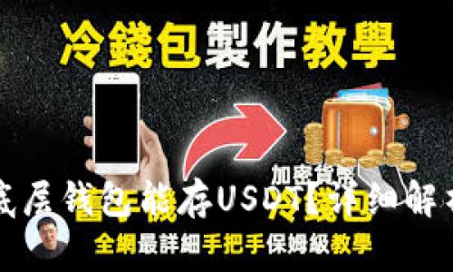 什么单底层钱包能存USDT？详细解析与推荐