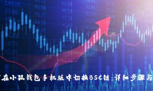 如何在小狐钱包手机版中切换BSC链：详细步骤与指南