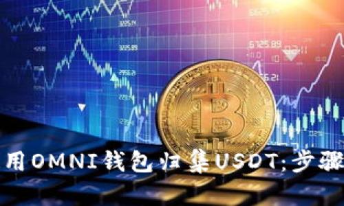 如何高效使用OMNI钱包归集USDT：步骤与实用技巧