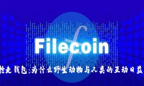 狐狸抢走钱包：为什么野生动物与人类的互动日益频繁？