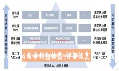 2015年比特币钱包恢复：详解恢复方法与技巧