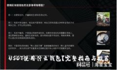USDT使用什么钱包？完整指