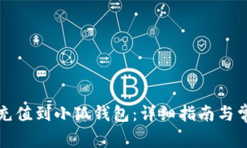 如何将资金充值到小狐钱包：详细指南与常见问题解答