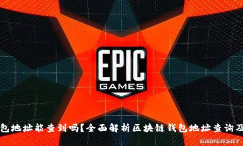 区块链钱包地址能查到吗？全面解析区块链钱包地址查询及隐私保护
