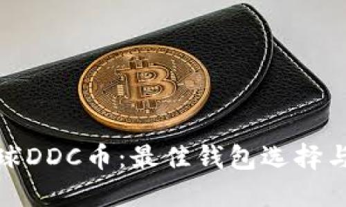 : 虚拟地球DDC币：最佳钱包选择与安全指南