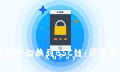 如何在小狐钱包中切换到BSC链：详尽指南与故障排除
