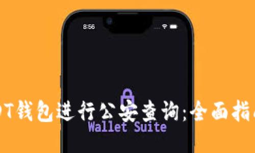 如何使用USDT钱包进行公安查询：全面指南与安全指南