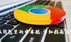 如何找回小狐钱包里的中本聪：详细指南与常见