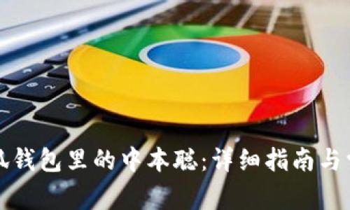 如何找回小狐钱包里的中本聪：详细指南与常见问题解答