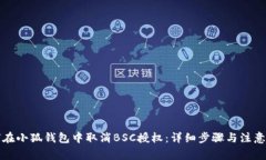 如何在小狐钱包中取消BSC授权：详细步骤与注意