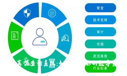 小狐钱包真伪查询系统：如何确保你的数字资产安全