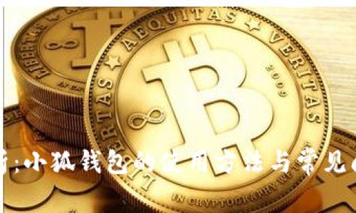 全面解析：小狐钱包的使用方法与常见问题解答