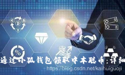 如何通过小狐钱包领取中本聪币：详细指南