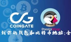 如何找到你的钱包和比特