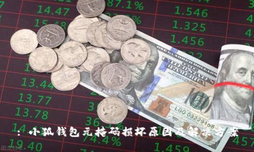 : 小狐钱包元掩码损坏原因及解决方案