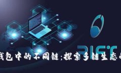 小狐钱包中的不同链：探索多链生态的未来