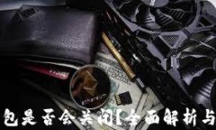 比特币钱包是否会关闭？全面解析与风险管理