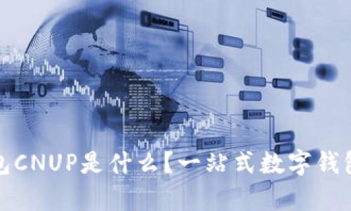 : 小狐钱包CNUP是什么？一站式数字钱包深入解析
