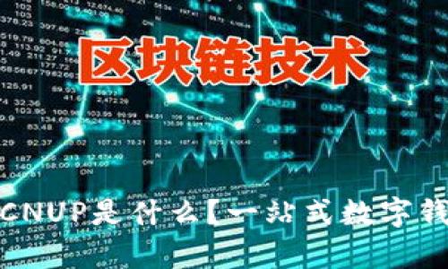 : 小狐钱包CNUP是什么？一站式数字钱包深入解析