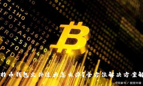 比特币钱包文件过大怎么办？全方位解决方案解析