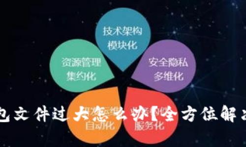 比特币钱包文件过大怎么办？全方位解决方案解析