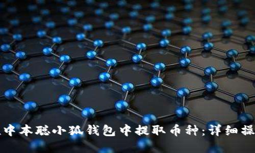 如何在中本聪小狐钱包中提取币种：详细操作指南