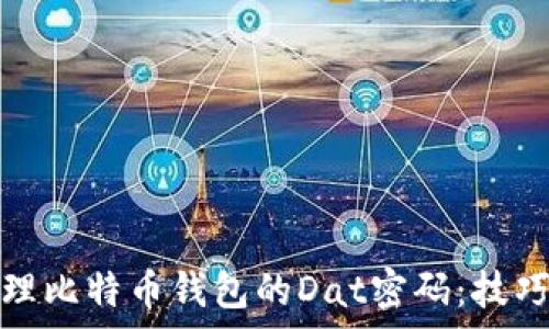    
如何安全管理比特币钱包的Dat密码：技巧与注意事项