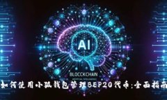 如何使用小狐钱包管理BEP20代币：全面指南