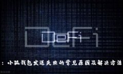 : 小狐钱包发送失败的常见原因及解决方法