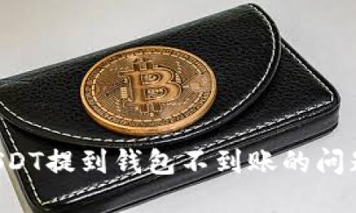 如何解决USDT提到钱包不到账的问题：全面指南