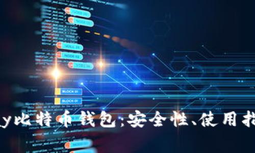 全面解析Copay比特币钱包：安全性、使用指南及常见问题