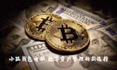 小狐钱包电脑：数字资产