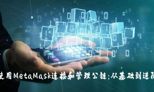 如何使用MetaMask连接和管理公链：从基础到进阶指南