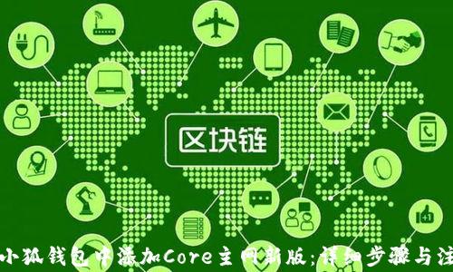 
如何在小狐钱包中添加Core主网新版：详细步骤与注意事项