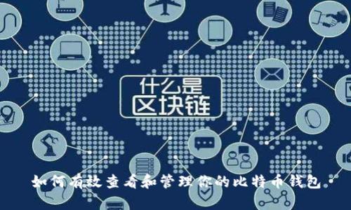 如何有效查看和管理你的比特币钱包
