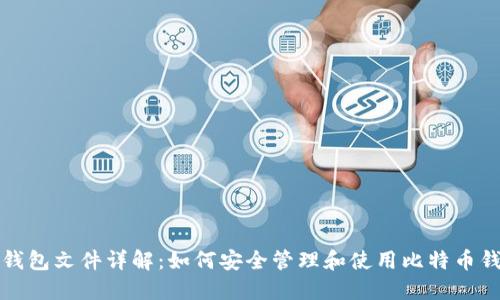 比特币钱包文件详解：如何安全管理和使用比特币钱包文件