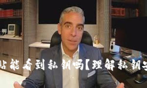 比特币钱包网站能看到私钥吗？理解私钥安全与钱包类型
