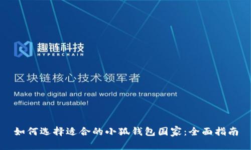 如何选择适合的小狐钱包国家：全面指南