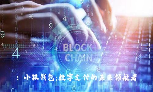 : 小狐钱包：数字支付的未来领航者