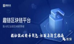 揭秘假比特币钱包：识别