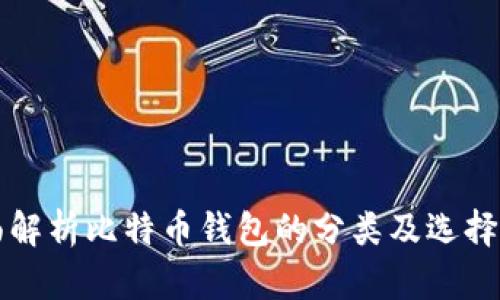 全面解析比特币钱包的分类及选择指南