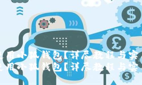 如何使用小狐钱包？详尽教程与实用技巧
如何使用小狐钱包？详尽教程与实用技巧