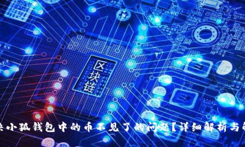 如何解决小狐钱包中的币不见了的问题？详细解析与解决方案