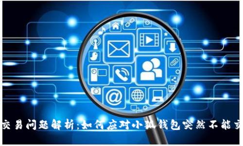 小狐钱包交易问题解析：如何应对小狐钱包突然不能交易的情况