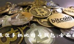 如何选择最佳手机比特币